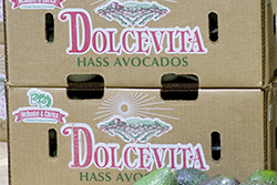 dolcevita